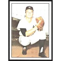 1978 TCMA 60's I #NNO Jim Bouton