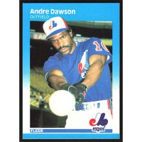 1987 Fleer #316 Andre Dawson