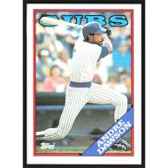 1988 Topps #500 Andre Dawson