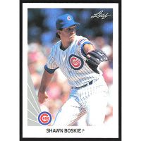 1990 Leaf #519 Shawn Boskie