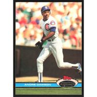 1991 Stadium Club #310 Andre Dawson