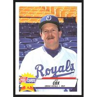 1993 Fleer ProCards Triple A All-Stars #AAA-41 Jeff Cox