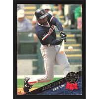 1993 Leaf #310 Andre Dawson