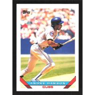 1993 Topps #265 Andre Dawson