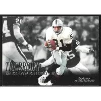 1999 SkyBox Dominion #86 Tim Brown