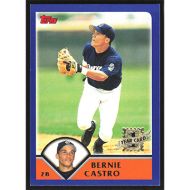 2003 Topps #303 Bernie Castro First Year