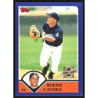 2003 Topps #303 Bernie Castro First Year