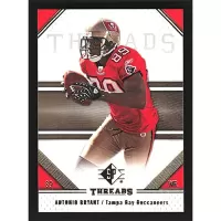 2009 SP Threads #5 Antonio Bryant