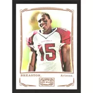 2009 Topps Mayo #325 Steve Breaston