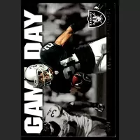 2011 Topps Game Day #GD-NA Nnamdi Asomugha