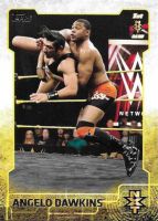 2015 Topps WWE NXT Prospects #3 Angelo Dawkins