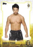 2015 Topps WWE NXT Prospects #6 Hideo Itami