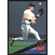 1993 Leaf #246 Rob Deer