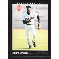 1993 Pinnacle #497 Andre Dawson