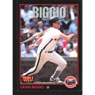 1993 Triple Play #100 Craig Biggio