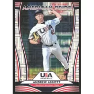 2020 Donruss American Pride Vector #AP12 A. Abbott/M. Stroman