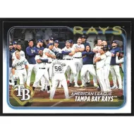 2024 Topps #211 Tampa Bay Rays