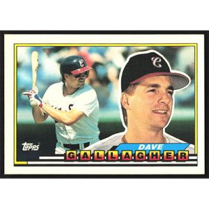 1989 Topps Big #310 Dave Gallagher