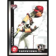 2010 Topps Topps Town #TTT21 Adam Dunn