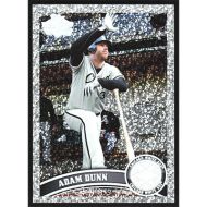 2011 Topps Update Diamond Anniversary #US220 Adam Dunn