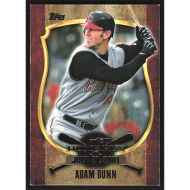 2015 Topps First Home Run Gold #FHR-17 Adam Dunn