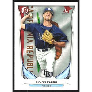 2014 Bowman Prospects Hometown #BP16 Dylan Floro