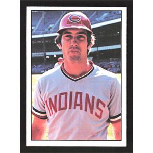 1976 SSPC #500 Ray Fosse