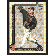 2025 Topps Sun #699 Hayden Birdsong