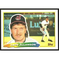 1988 Topps Big #231 Andy Allanson