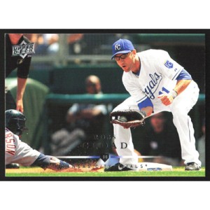 2008 Upper Deck #258 Ross Gload