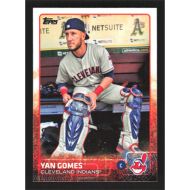 2015 Topps #622 Yan Gomes SP - In Dugout