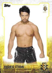 2015 Topps WWE NXT Prospects #6 Hideo Itami