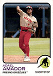 Adael Amador Baseball Cards