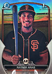 Rayner Arias Baseball Cards