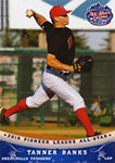 Tanner Banks Baseball Cards