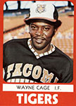 Wayne Cage Baseball Cards