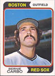 Bernie Carbo Baseball Cards