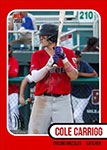 Cole Carrigg Baseball Cards