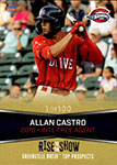 Allan Castro Baseball Cards