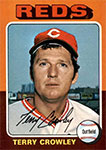 Terry Crowley Baseball Cards