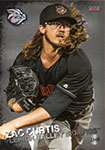 Zac Curtis Baseball Cards