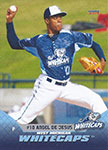 Angel De Jesus Baseball Cards