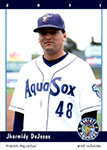 Jharmidy De Jesus Baseball Cards