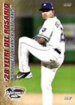 Yefri del Rosario Baseball Cards