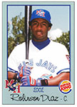 Robinzon Diaz Baseball Cards