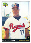 Brian DuBose Baseball Cards