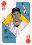 Adam Dunn Baseball Cards