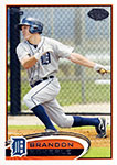 Brandon Eckerle Baseball Cards