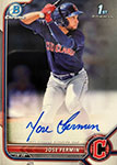 Jose Fermin Baseball Cards