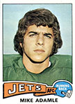 Mike Adamle Football Cards